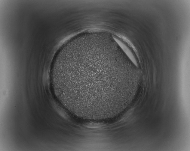 X0000085020487200703121546
