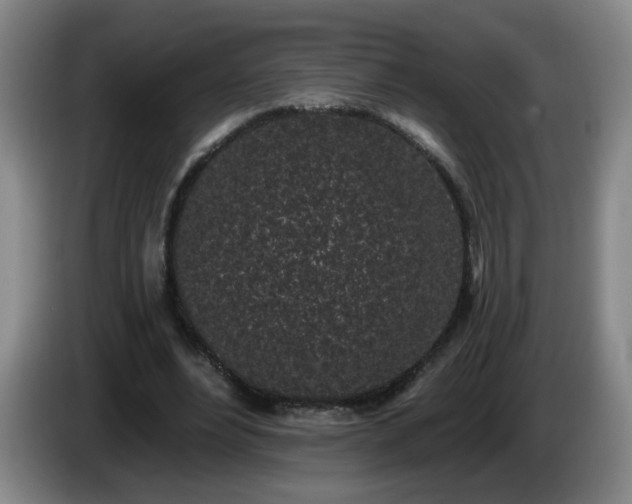 X0000085020488200703121546