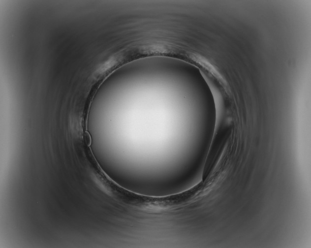 X0000085020489200703121546