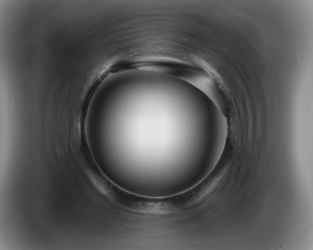 X0000085020493200703121546