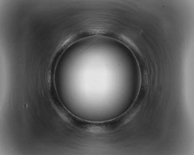 X0000085020494200703121546