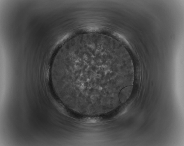 X0000085020495200703121545