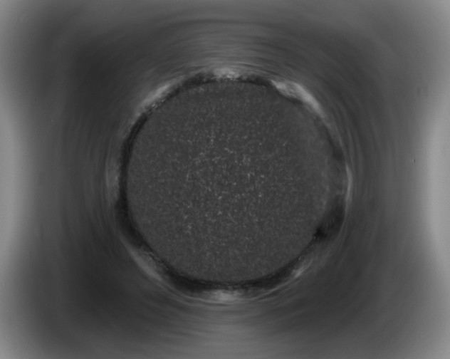 X0000085020496200703121545