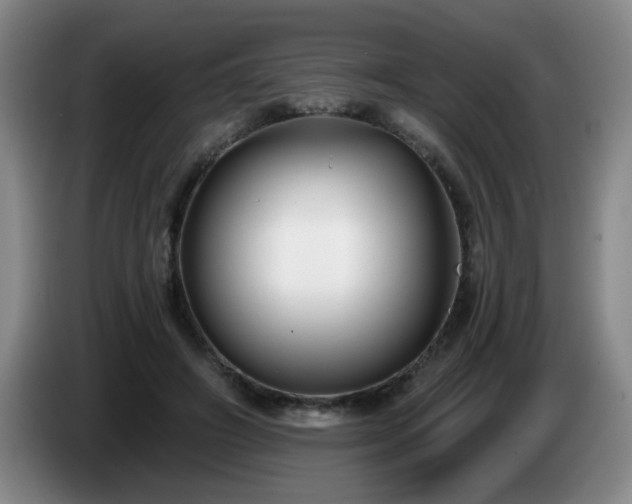 X0000085020498200703121545