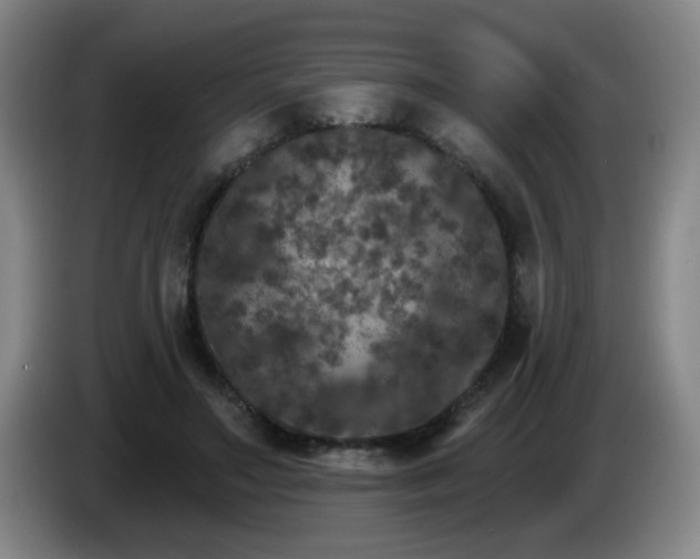 X0000085020499200703121545
