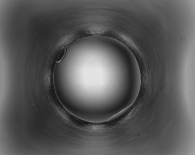 X0000085020501200703121545