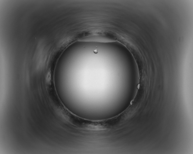 X0000085020502200703121545