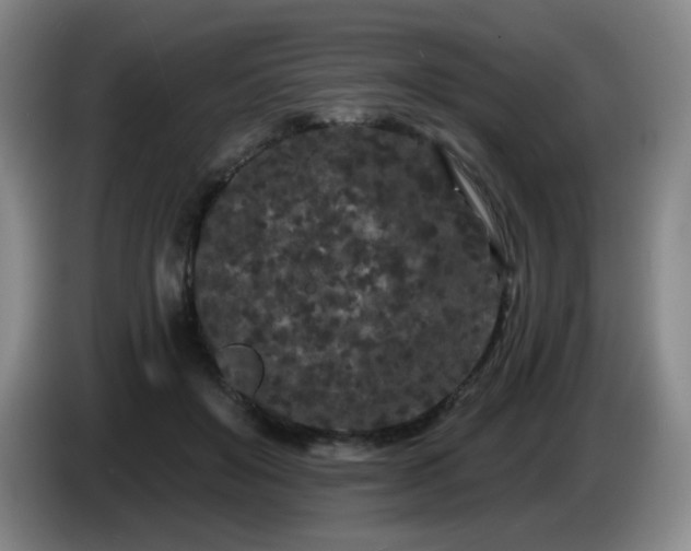 X0000085020503200703121545