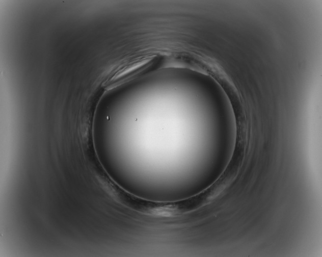 X0000085020505200703121545