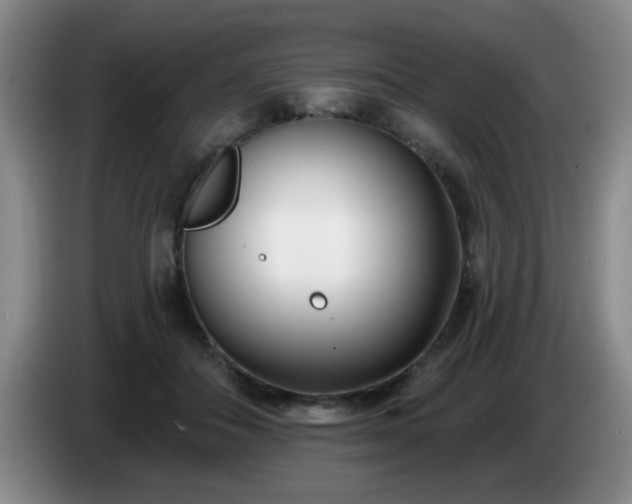 X0000085020506200703121545