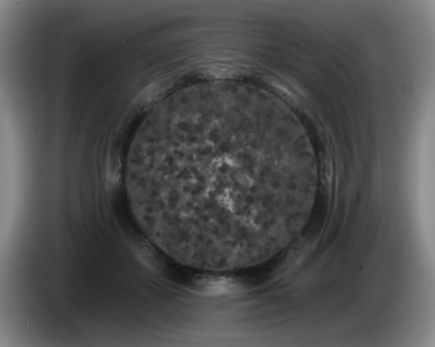 X0000085020507200703121545