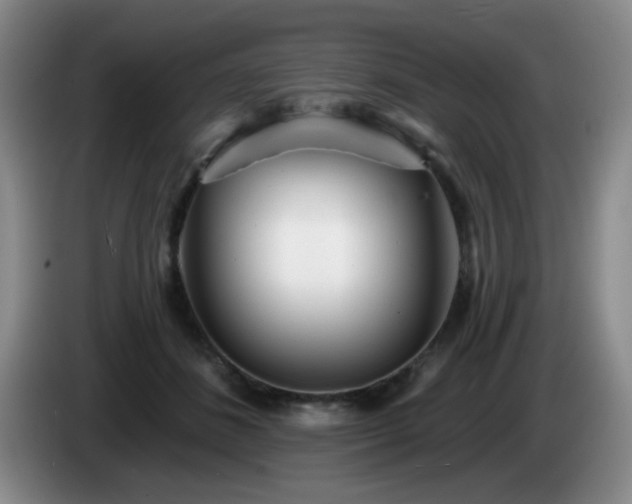 X0000085020508200703121545
