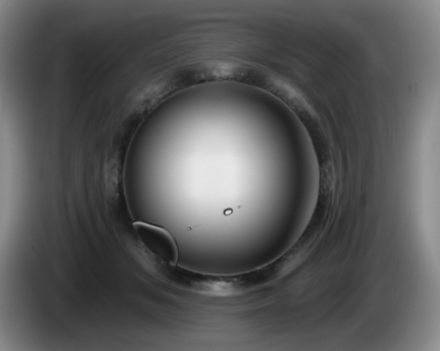 X0000085020509200703121545