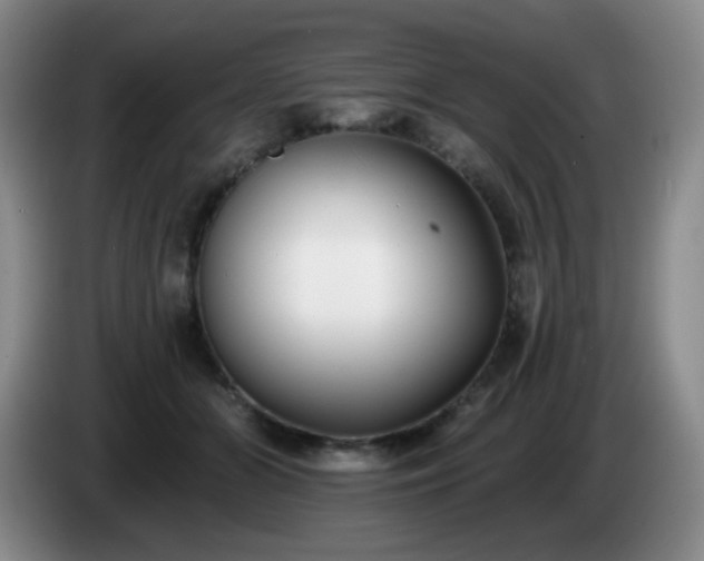 X0000085020510200703121545