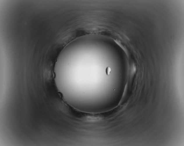 X0000085020515200703121545