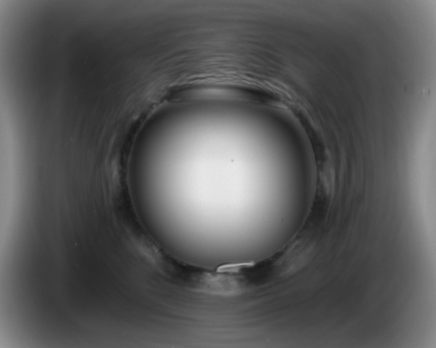 X0000085020520200703121545