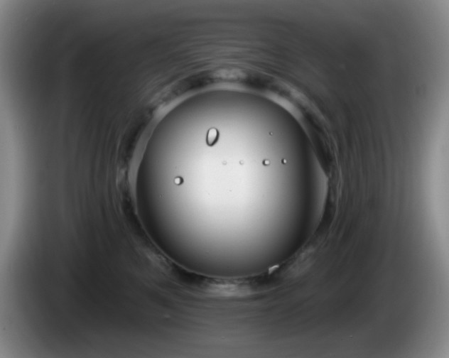 X0000085020521200703121545