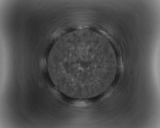 X0000085020523200703121545