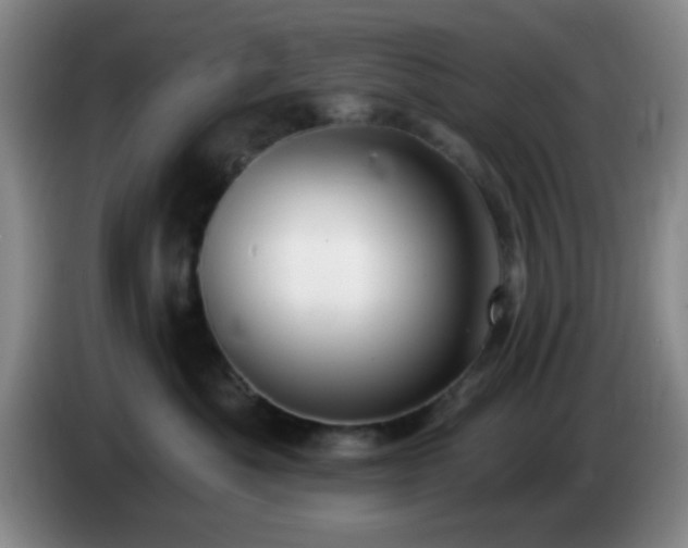 X0000085020525200703121545