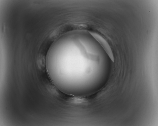 X0000085020528200703121545