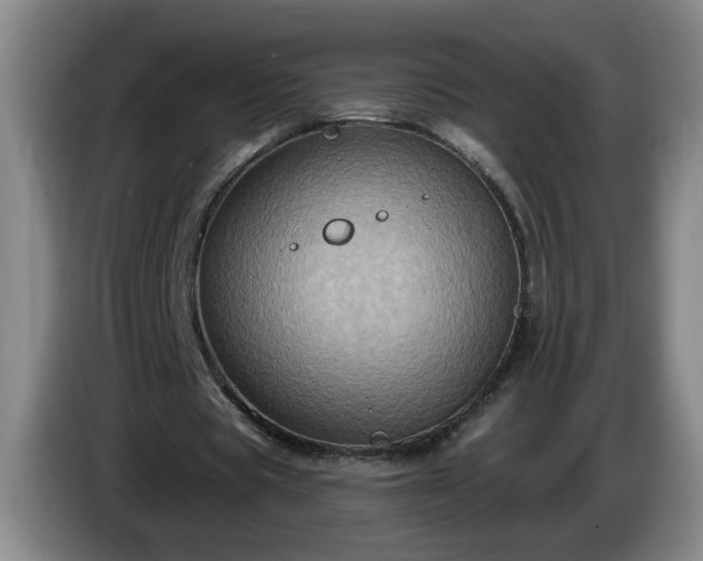 X0000085020529200703121544