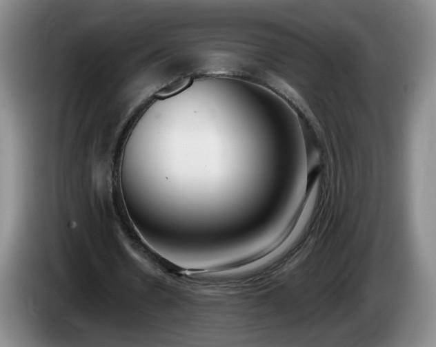 X0000085020530200703121544