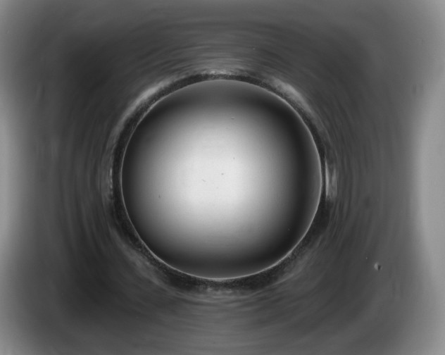 X0000085020531200703121544