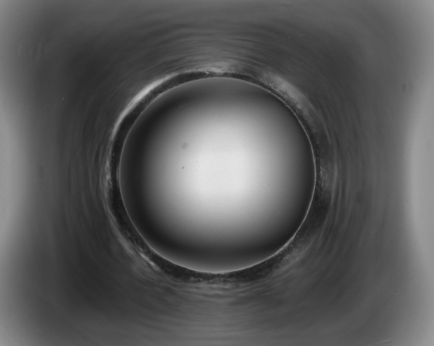 X0000085020532200703121544