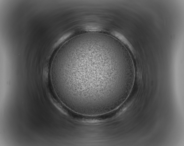 X0000085020533200703121544