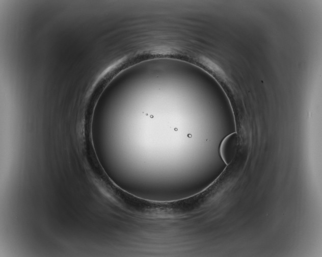 X0000085020535200703121544