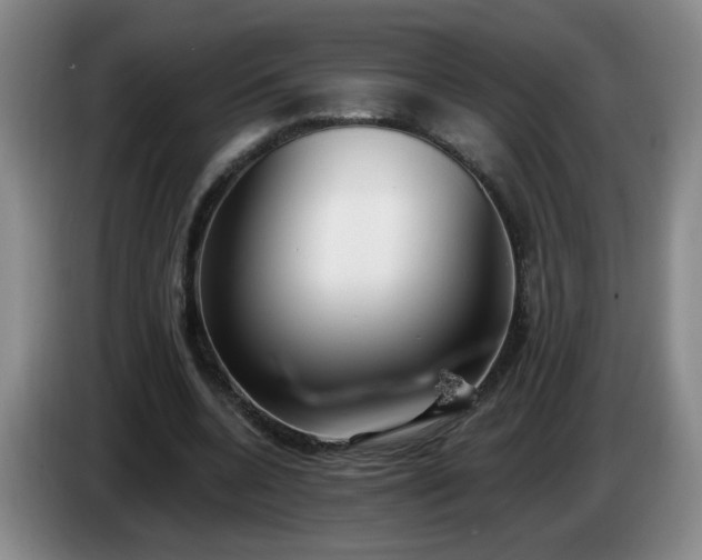 X0000085020536200703121544