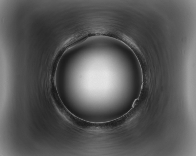 X0000085020538200703121545