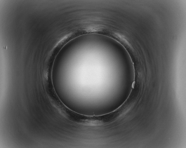 X0000085020539200703121545