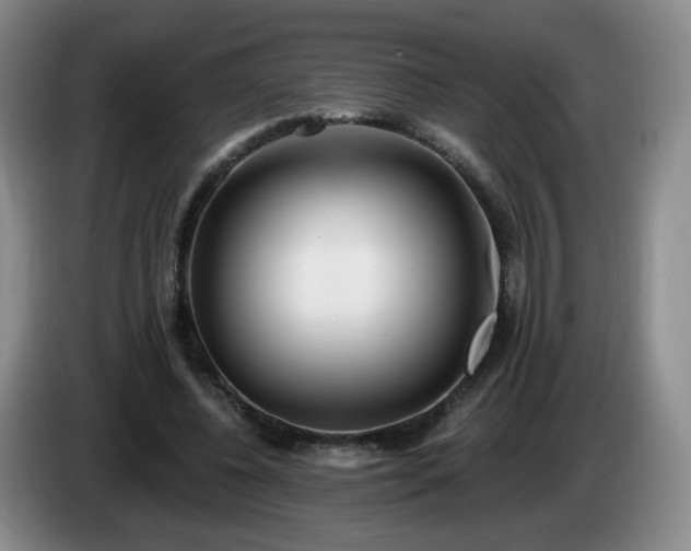 X0000085020540200703121545