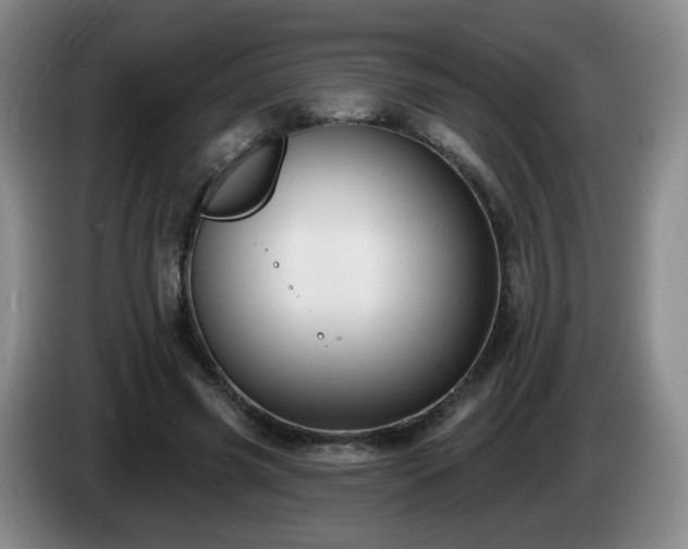 X0000085020541200703121545