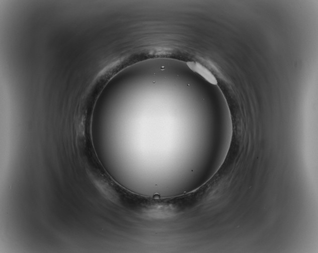 X0000085020543200703121545