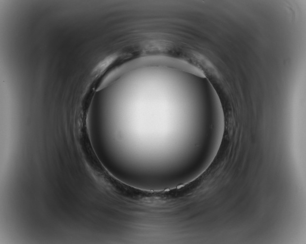 X0000085020544200703121545