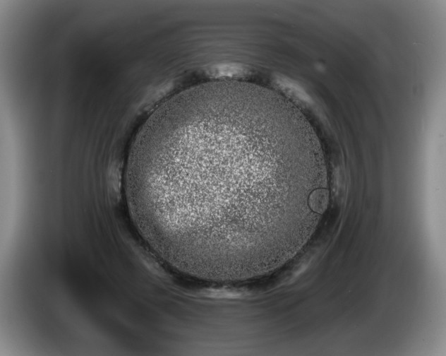 X0000085020545200703121545