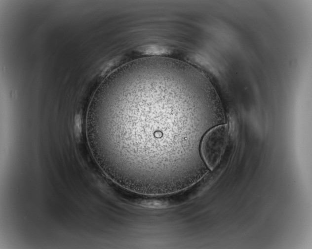 X0000085020549200703121545