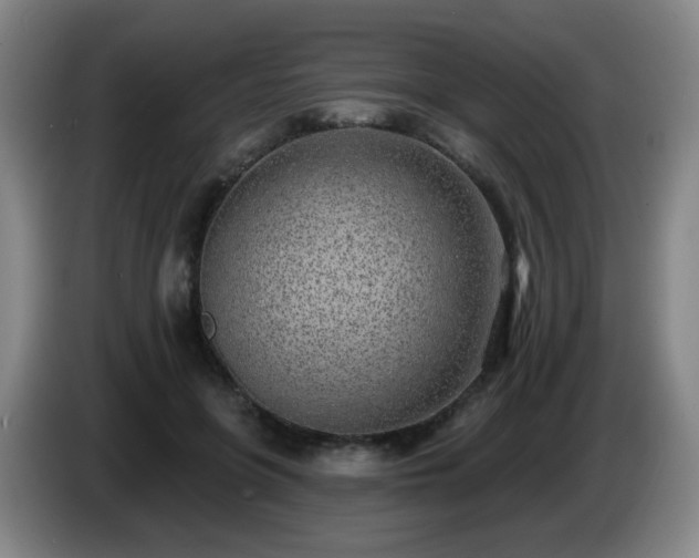 X0000085020551200703121545