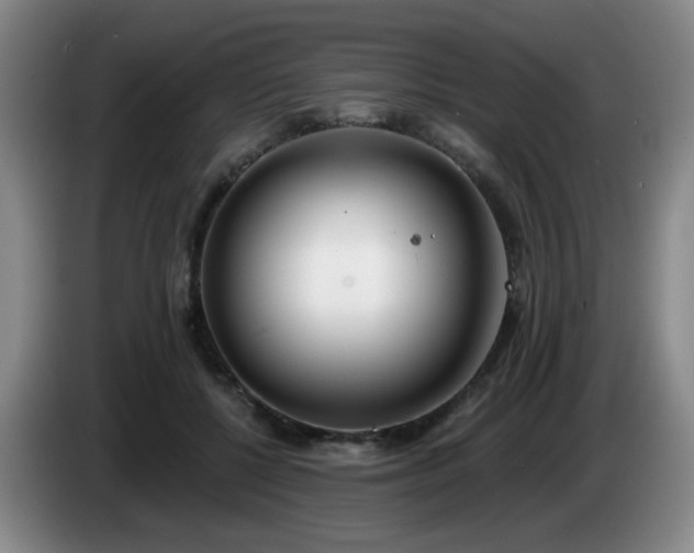 X0000085020552200703121545