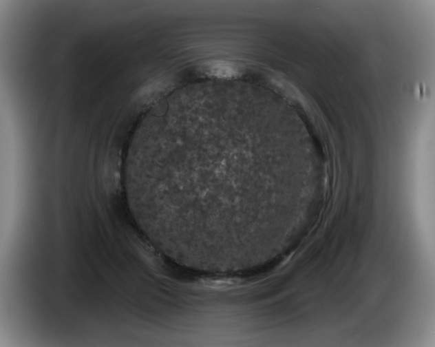 X0000085020553200703121545