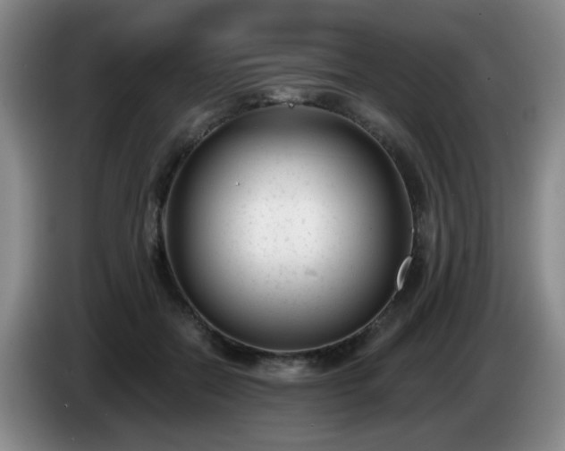 X0000085020554200703121545