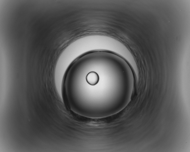 X0000085020556200703121545