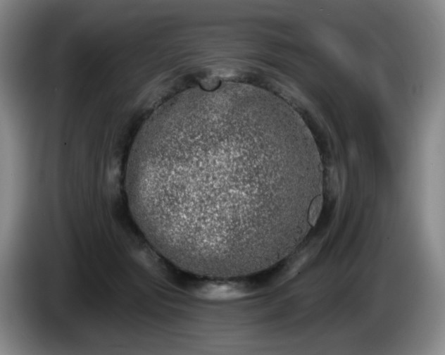 X0000085020557200703121545