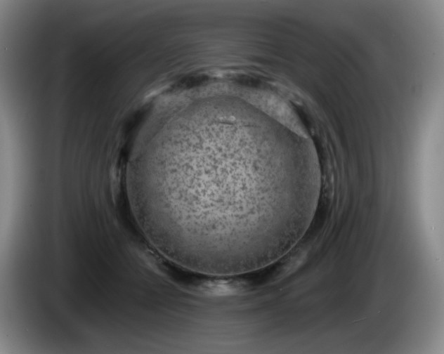 X0000085020558200703121545
