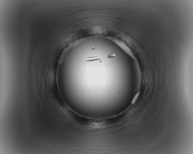 X0000085020560200703121545