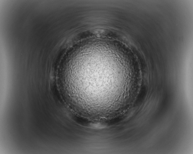 X0000085020561200703121545