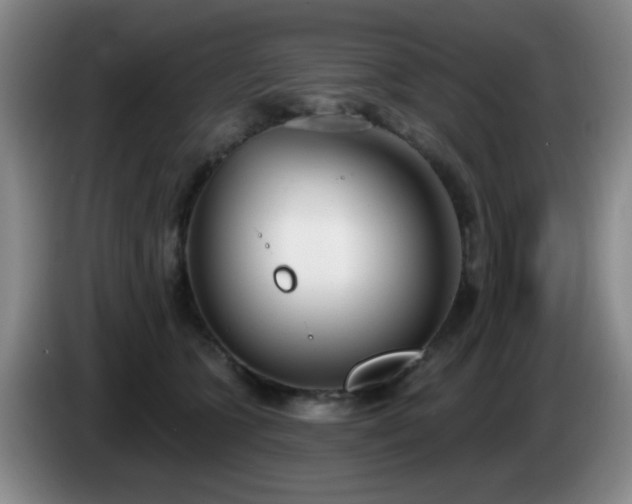 X0000085020563200703121545