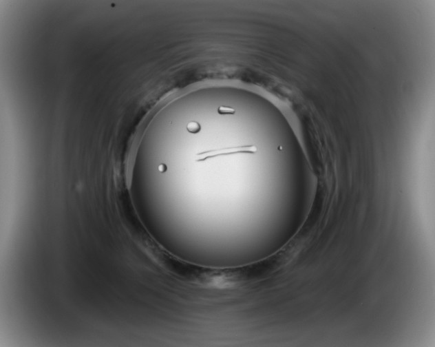 X0000085020564200703121545